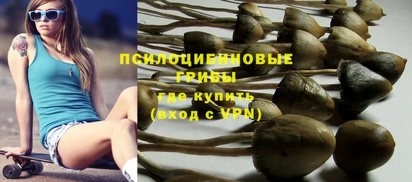 герыч Алексин